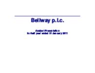 Interim report