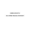 Interim report