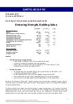 Interim report