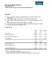 Interim report