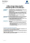 Interim report