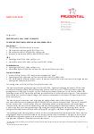 Interim report