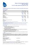Interim report