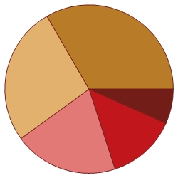 pie chart